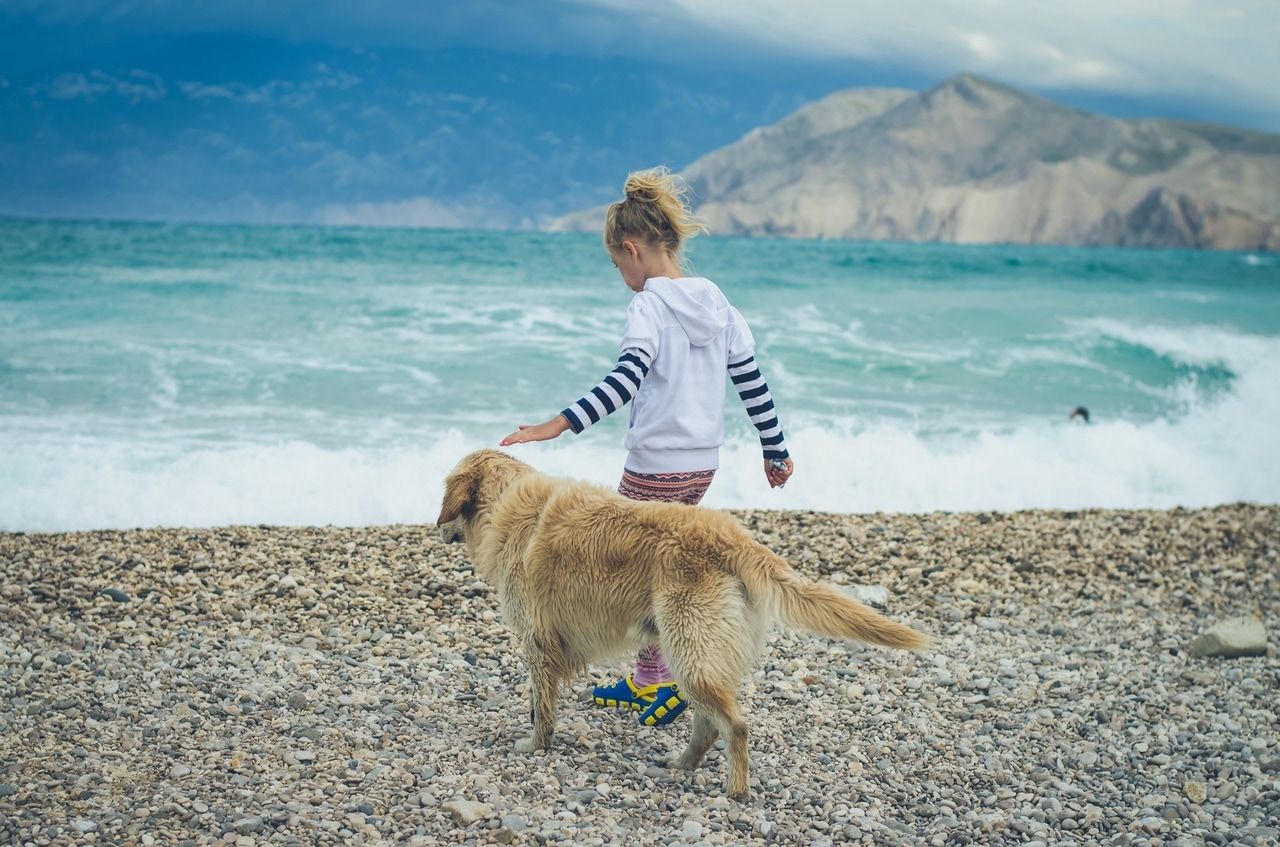 Playas para perros en Croacia – Vacaciones para tus amigos de cuatro patas